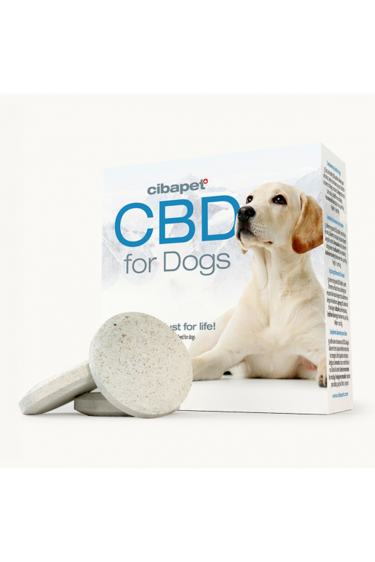 CBD Pastilles Voor Honden