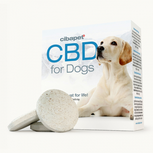 CBD Pastilles Voor Honden