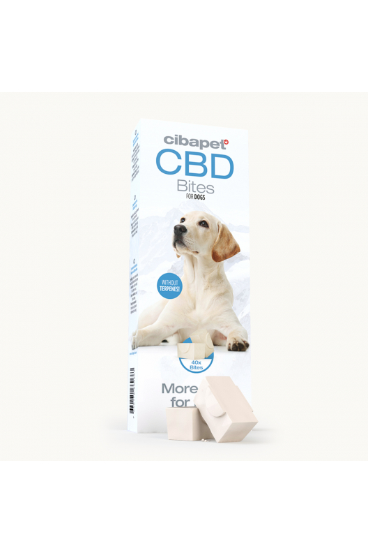 CBD snacks voor honden