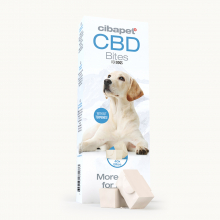 CBD snacks voor honden