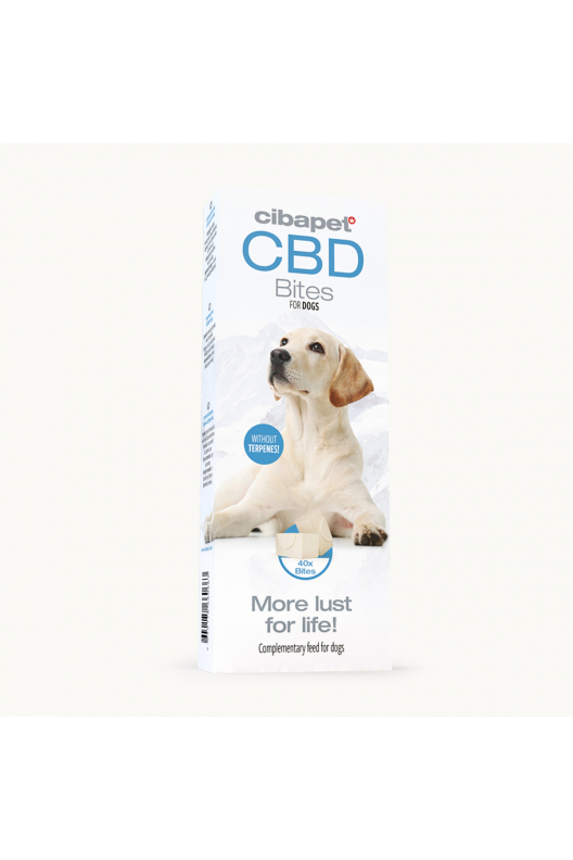 CBD snacks voor honden