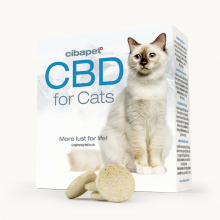 CBD Pastilles Voor Katten