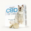 CBD Pastilles Voor Katten