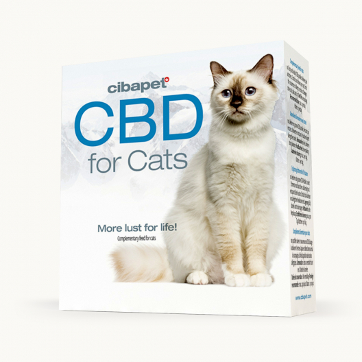 CBD Pastilles Voor Katten