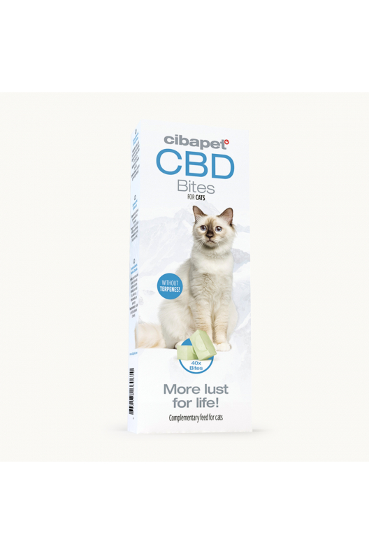 CBD snacks voor katten CBD snacks voor katten