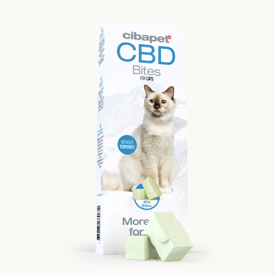 CBD snacks voor katten