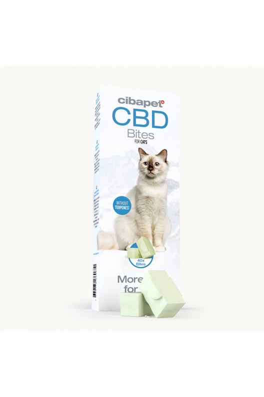 CBD snacks voor katten CBD snacks voor katten