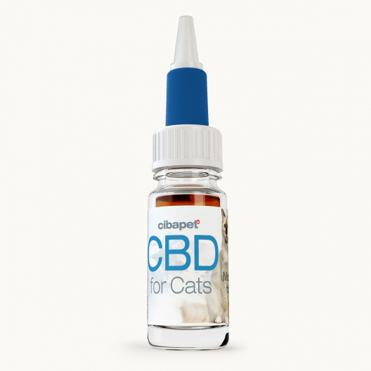 CBD Olie 2% Voor Katten