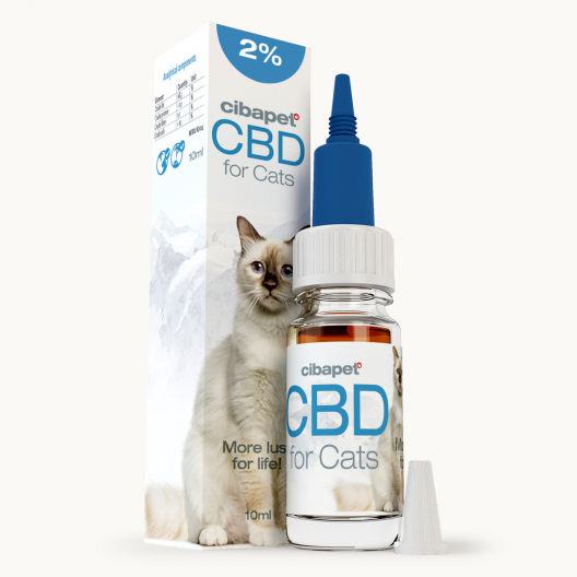 CBD Olie 2% Voor Katten