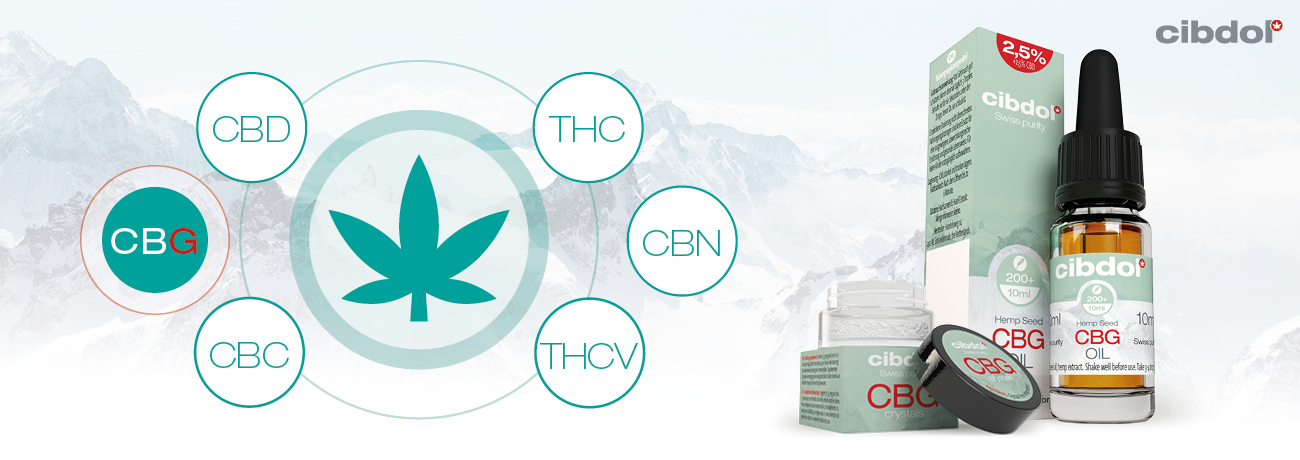 Wat is CBG (Cannabigerol)?