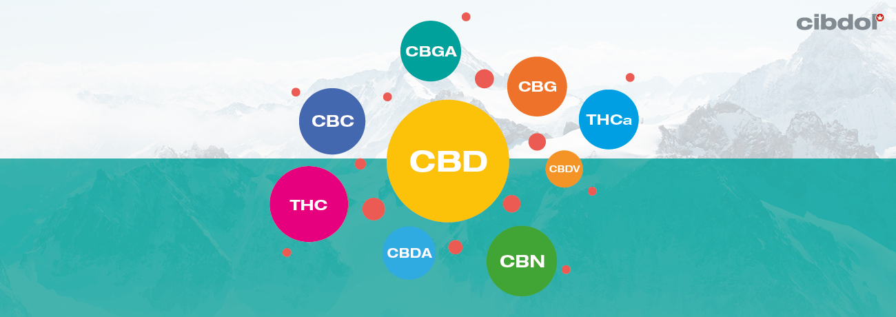 Wat Is Full-spectrum CBD-olie?