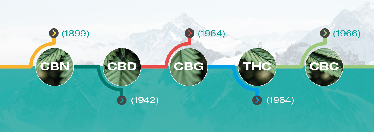 Wanneer zijn cannabinoïden ontdekt?