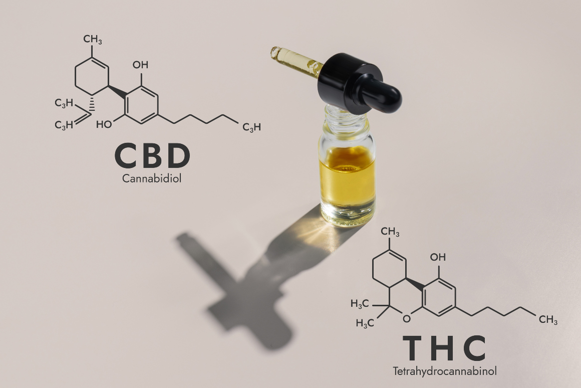 Welk type hennep moet ik gebruiken om CBD-olie te maken?