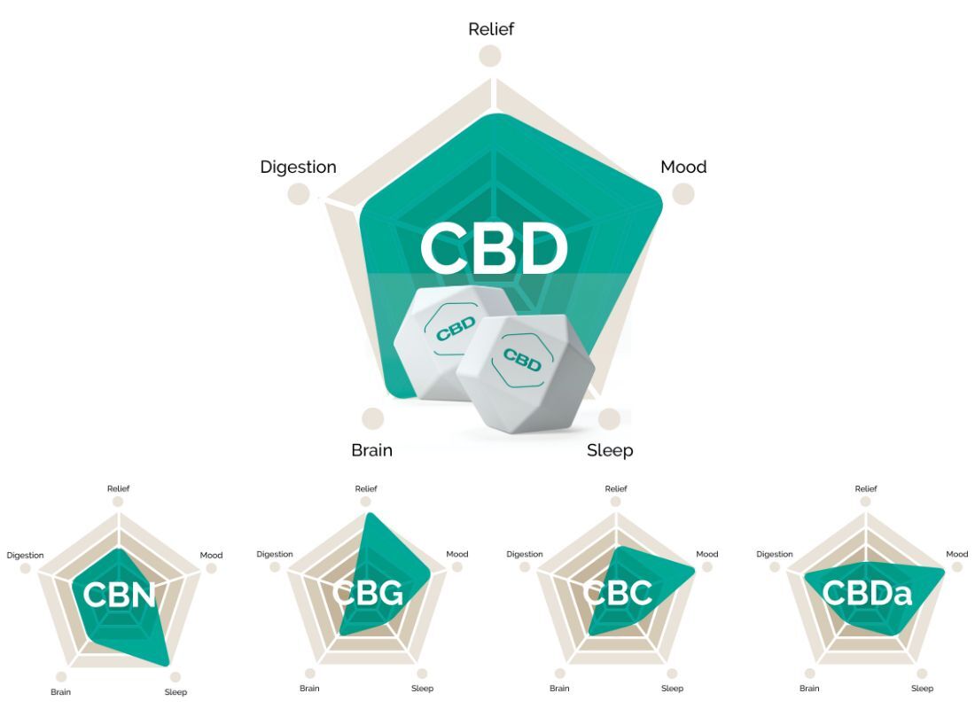 cbd olie 2.0