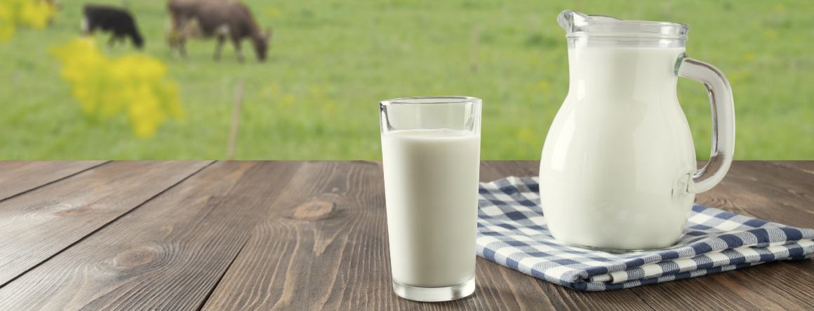 Heeft melk omega-3 vetzuren?