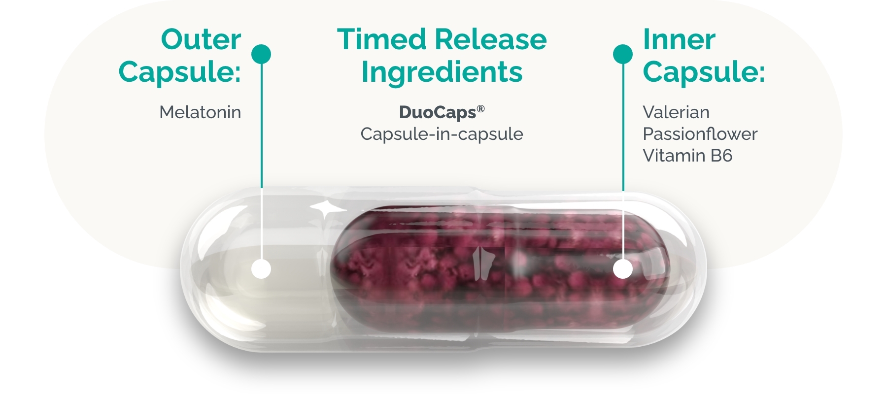 Sleep and Recover capsule