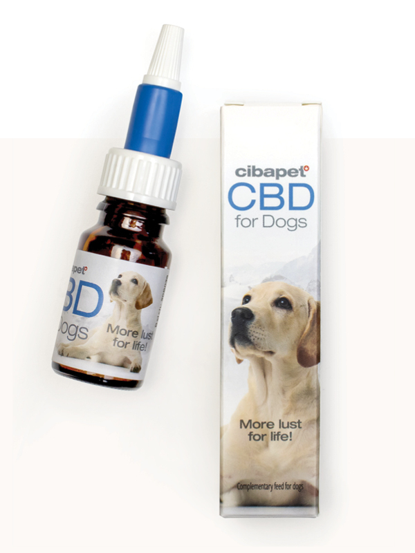 CBD voor Honden