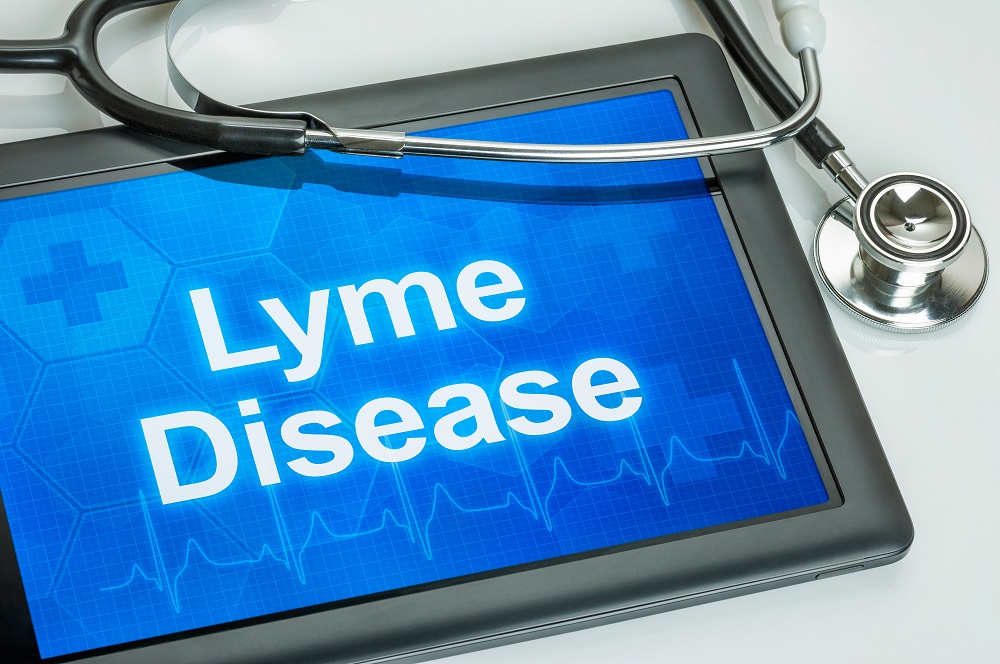 Zou CBD kunnen helpen met de ziekte van Lyme?