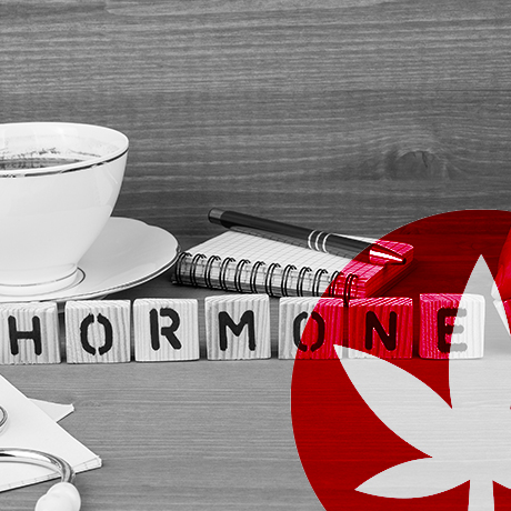 Beïnvloedt CBD je hormonen? 