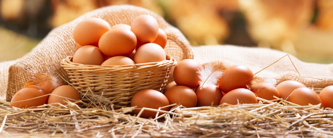 Hoeveel eiwit zit er in een ei?